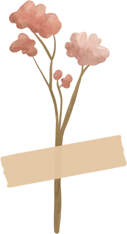 Dried flower with tape illustration -01