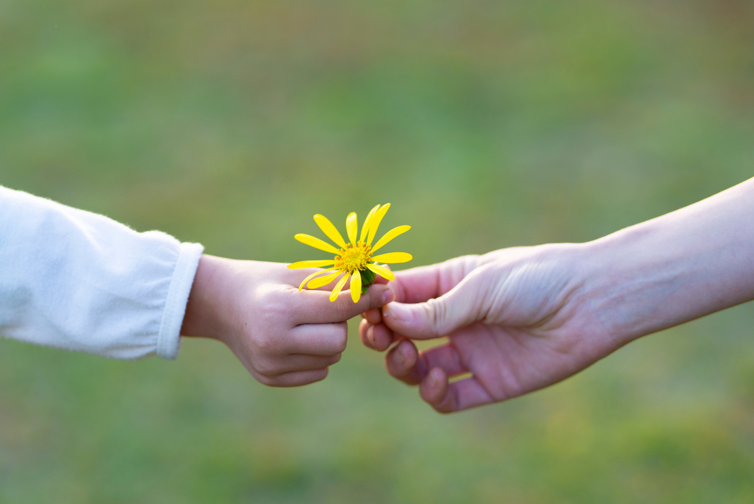 Parent and child handing yellow flower